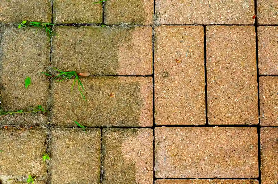 blog image