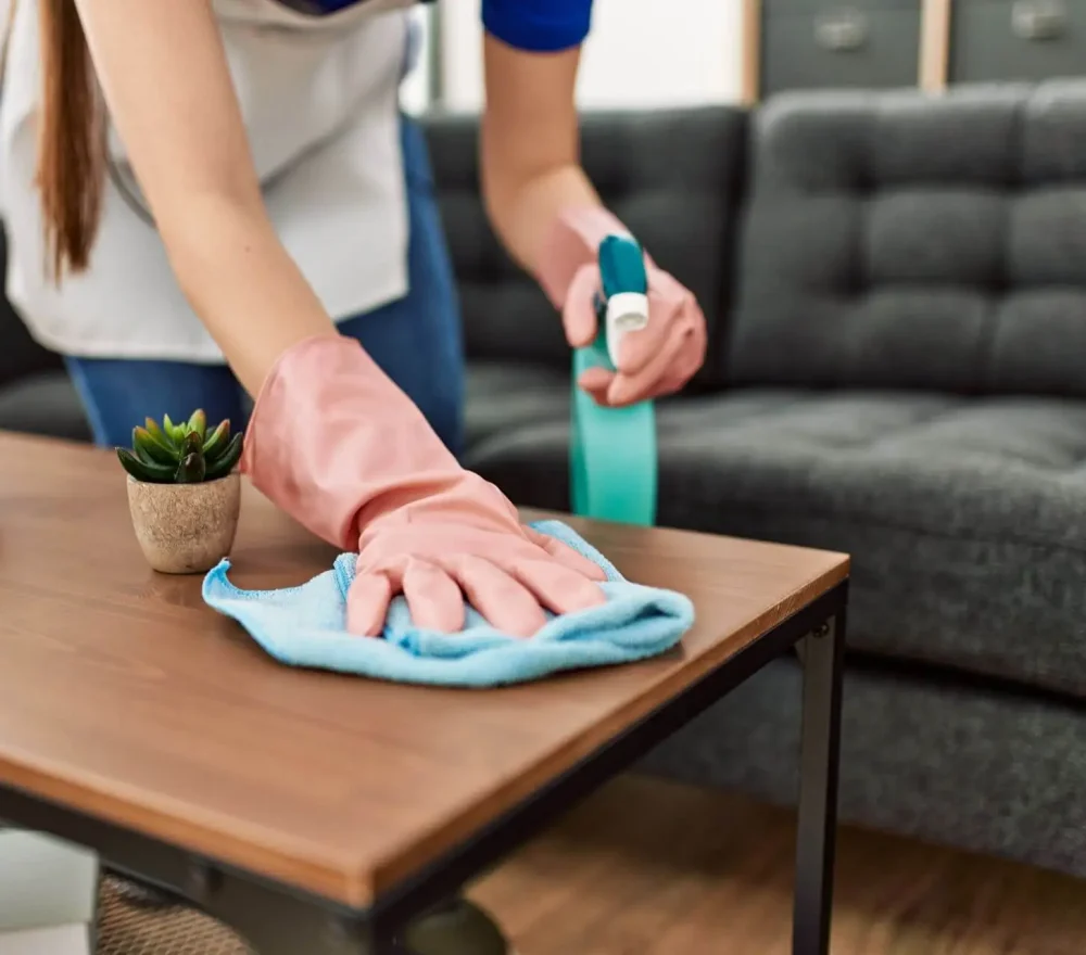 How_To_Conduct_Daily_Cleaning_In_Your_House_And_Lot_In_Laguna-1-1